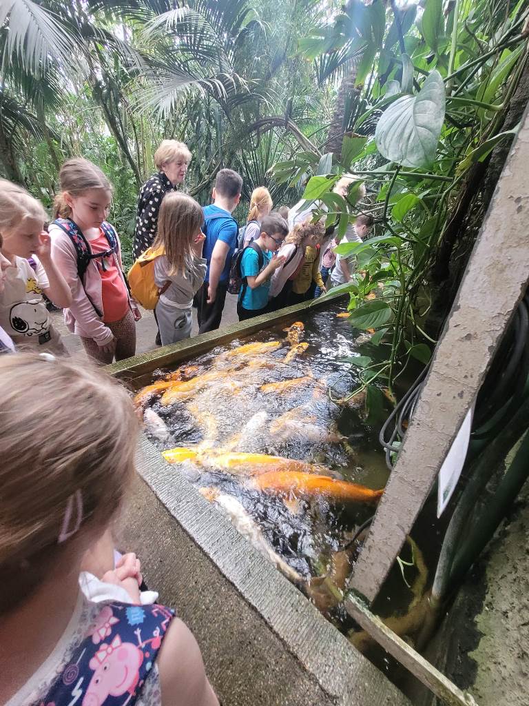 WhatsApp Image 2023-04-21 at 17.10.13 (4).jpeg